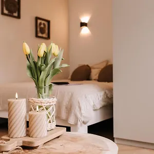 https://casa-la-vida-beach-house.zandvoort-hotels.com